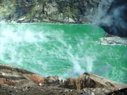 �G�������h�O���[���̐F�������A�������Ό�������