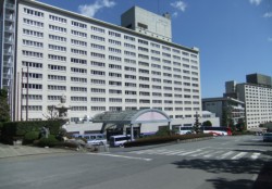 ���T��z�e�������̂͂Ȋفi�ʕ{�s�ϊC������j