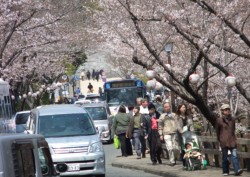 �F�{��E��K���т͉Ԍ��q��ό��q�ő���킢