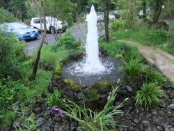 �N���ʂ�1���Ԃ�5�g��������Ƃ����u�~����v�̓���