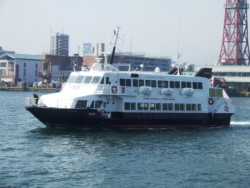 10������Δn�[���R�ԂŏA�q���鍂���D�r�[�g��