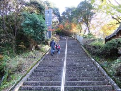 ���{��Βi�̓o�R���B�g�t���Ƃ���ǂ���Ɍ�����