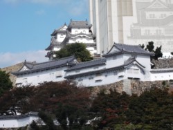 ���E������Y�E�P�H��(�E�͏C�����̑�V��)