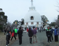 ���U(7��20��)�̉ԉ��R����(�����͕��ɗ���)