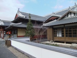 ���j���[�A���I�[�v��(��N11��23��)���������瓒