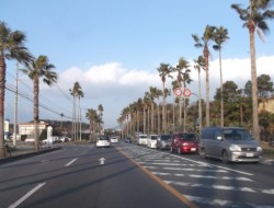 ��V���s����̍���266��