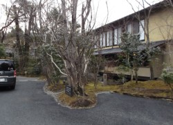 �ؗ����Ɉ͂܂ꂽ���쉷��u���쑑�v