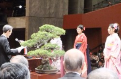 �w�ʋL��ǂݏグ�鉪�{�w��(��)�Ƒ��Ɛ���\