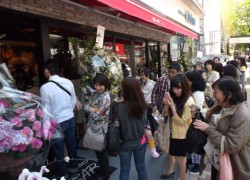 �����s�񂪏o���Ă���u�T�����@�g�[���N�I���V�_�X�v