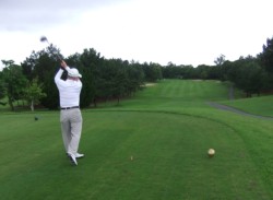 �ӂ������o�ς̐e�r�S���t���(��N6��)