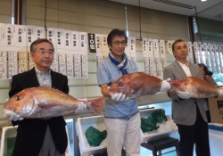 �D���������\���햱�A�H�R�x�X���A�{�쏊��