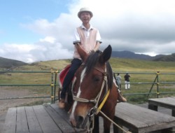 ��n���y���ރf�W�J���E����(���h���痢���l)