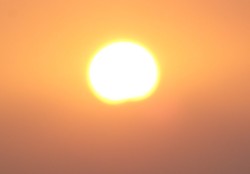 �P���悤��2014�N�̏����̏o(�ԉ��R�����)