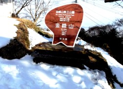 ����R�����т͈�ʂ̐�i�F������