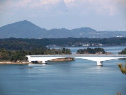 �������V���̓��X�ƑO����(4����)