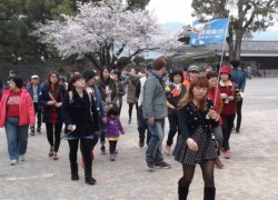 ���X�ɌF�{����ɓ����Ă���c�̋q(��p����̒c��)