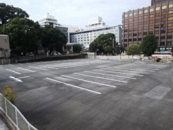 �V�F�{������ق����݂����F�{�s�Ԕ����̗p�n