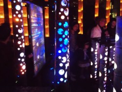 �F�Ƃ�ǂ�̖����肪�������|���U(�V���{�����[�h)