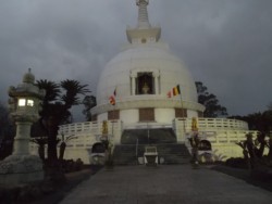 �F�{�s���扡�蒬�̉ԉ��R���ɗ���