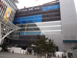 ���{�X�ւ������w��ׂ�Ɍ��ݒ��̑�^���ƃr��