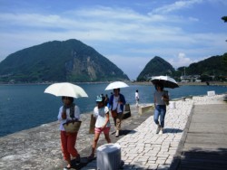 ���V���̒��A�O�p���`�̊ݕǂ�����ό��q