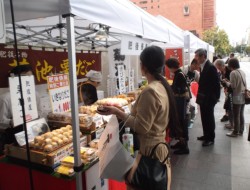 �����̕����s�����K�ꂽ�u�������ό����Y�G���v