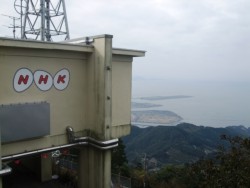 ����R�̒���B�m�g�j�̑��M���ƉE���͌F�{�V�`