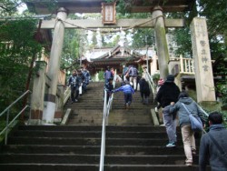 �}�X�΂̊K�i�����Q�q�҂���(�����_�{)