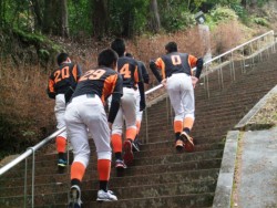 900�i�𐨂��悭�o��O�����w(����)�̖싅��������