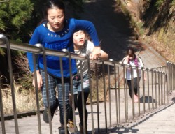 �h���{��̐Βi�h�𐨂��ǂ��o��q������