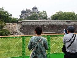 ��̊ی�������V��t�A�F�y�E���𒭂߂�ό��q