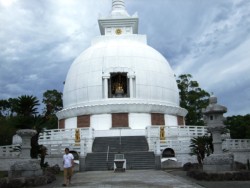 �W��132���̉ԉ��R����ɂ��镧�ɗ���