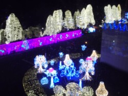 ���T��z�e���̉ؗ�ȃC���~�l�[�V����(���H�̗���)