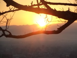 �V���Q�X���ɓ��̋󂩂�p������������