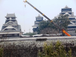 �����H�����n�܂����F�{���(���o�ۈ��)