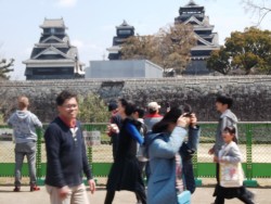 �F�{��E�ό��q��Ԍ��q���s��������̊ی���