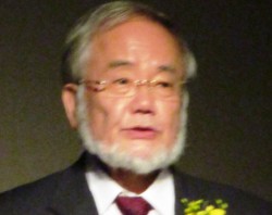 �u�I�[�g�t�@�W�[�Ŏ��̐l�����ς�����v�Ƒ���h�_����