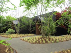 �e�r�s�E�u�����̐X�v�̏h���{��