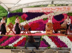 �u�h�A�h�\���v�Ɖ��ɋ��������O���[�v�̑��ۉ��t