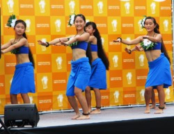 ���q�Z��(�H)�ɂ��t���_���X�V���[(�Ԕ��L��)