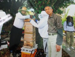 �~�c�o�`�̑������J���錤�C��̉��(�E�͓��c������)