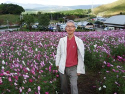 �U�R�𗬊فE�G�̗��̃R�X���X����