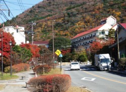 �g�t�̎R�X��w�i�ɂ����_�剷��E���يX