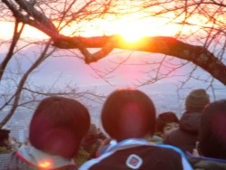 7��29���ɋP���������p������(�ԉ��R����)