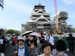 �ό��q��œ��키�F�{��{�ۍL����