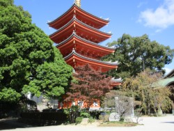 2011�N�ɍČ����ꂽ�������̌܏d�̓�