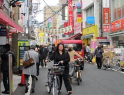 �������q�œ��₩�Ȑ��V���X�X(�����s���ǋ�)