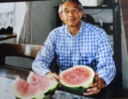 �u�Â��A���h�ȃX�C�J���̂ꂽ�v�Ɠ��c����������