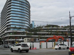 �n���㏸�̑傫�ȗv���ƂȂ����u�T�N���}�`�N�}���g�v