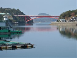 �V���T����(�����͋������C������)